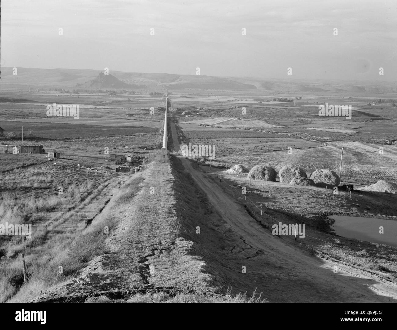 [Untitled, possibly related to Siphonthe world's longestwhich