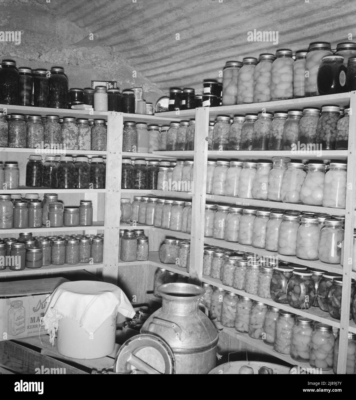 Interior of Mrs. Botner's storage cellar. 800 quarts of &quot;food for the winter.&quot; &quot;I miss my chickens so, but we're just not fixed for chickens or hogs yet.&quot; Nyssa Heights, Malheur County, Oregon. Stock Photo