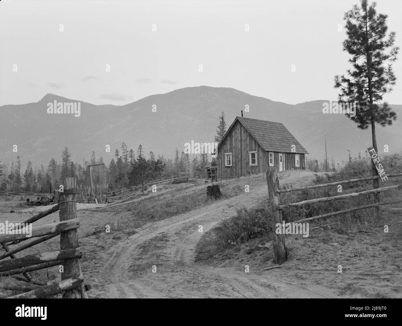 Farm for sale. Boundary County, Idaho. This soil is sandy and the