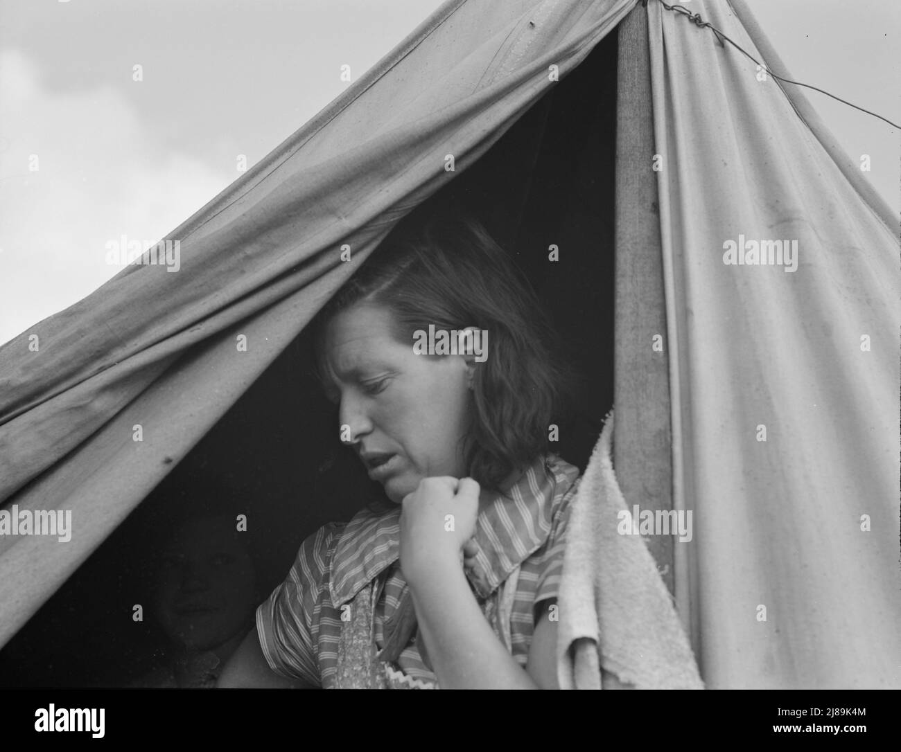 We made good money in the cherries this year. From then on we made just beans. Merrill, Klamath County, Oregon. Woman in mobile unit of FSA (Farm Security Administration) camp. Stock Photo