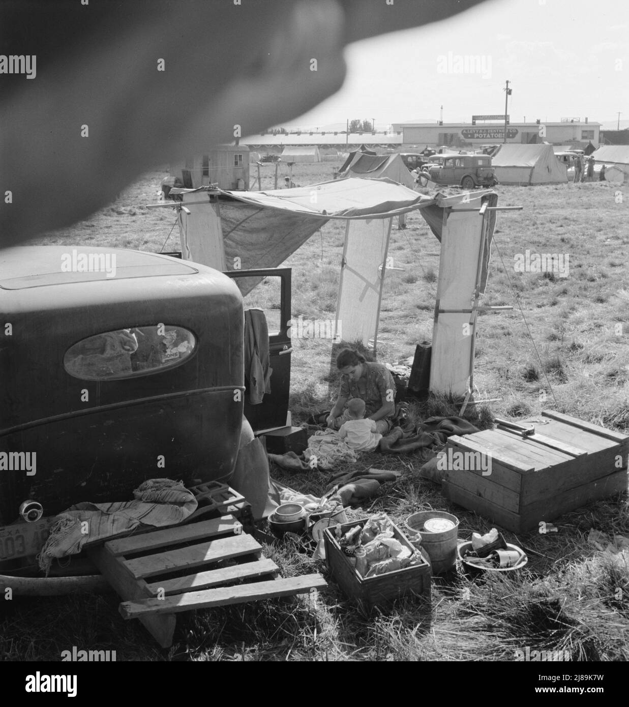 Living conditions for migrant potato pickers. Tulelake, Siskiyou County