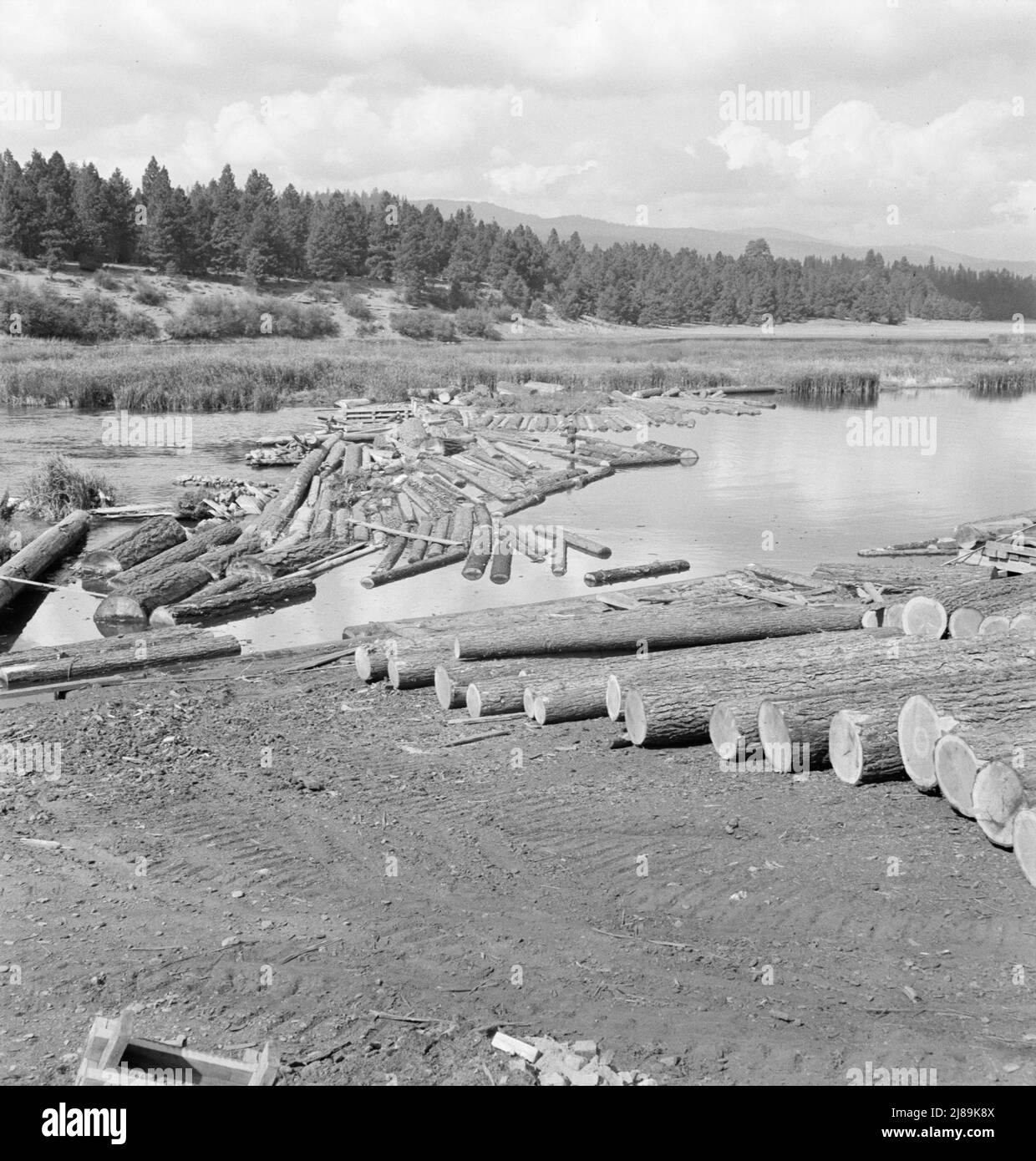 Mill pond. Klamath River beyond. Log rafts and log chute to the mill