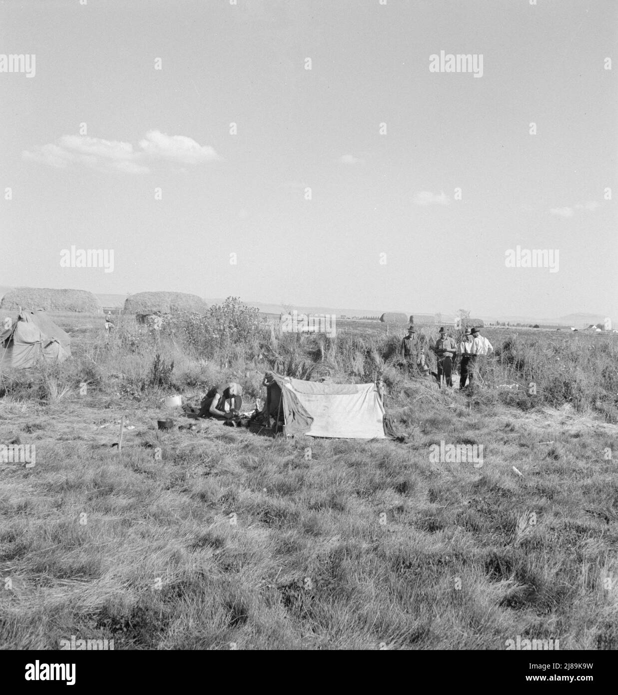 Camp of single men. Tulelake, Siskiyou County, California. Potato pickers. Stock Photo