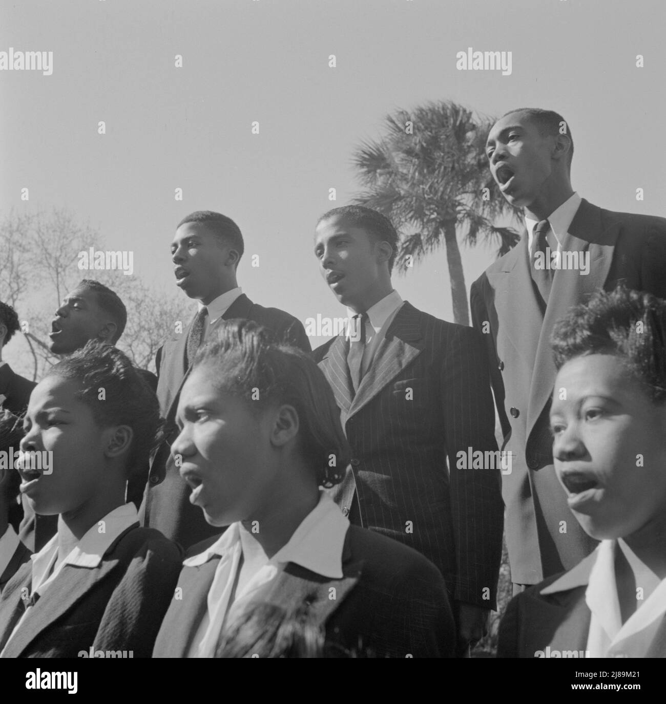[Untitled photo, possibly related to: Daytona Beach, Florida. Bethune-Cookman College. Student choir singing on the campus]. Stock Photo
