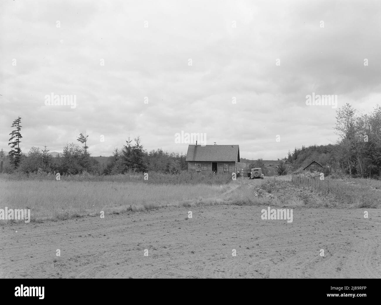 The Arnold farm, seen from road. Traveling medicine salesman is calling. Shows vegetable garden to right, and berry patch in front of house. The land which family has cleared is across a deep gully at the back and extends up and over the hill behind the house. Western Washington, Thurston County, Michigan Hill. Stock Photo