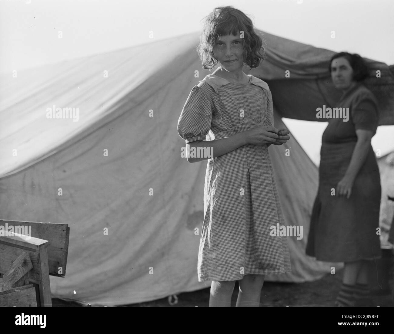 [Untitled, possibly related to: Migratory child in camp at end of day. Bean pickers' camp near West Stayton, Oregon. Stock Photo
