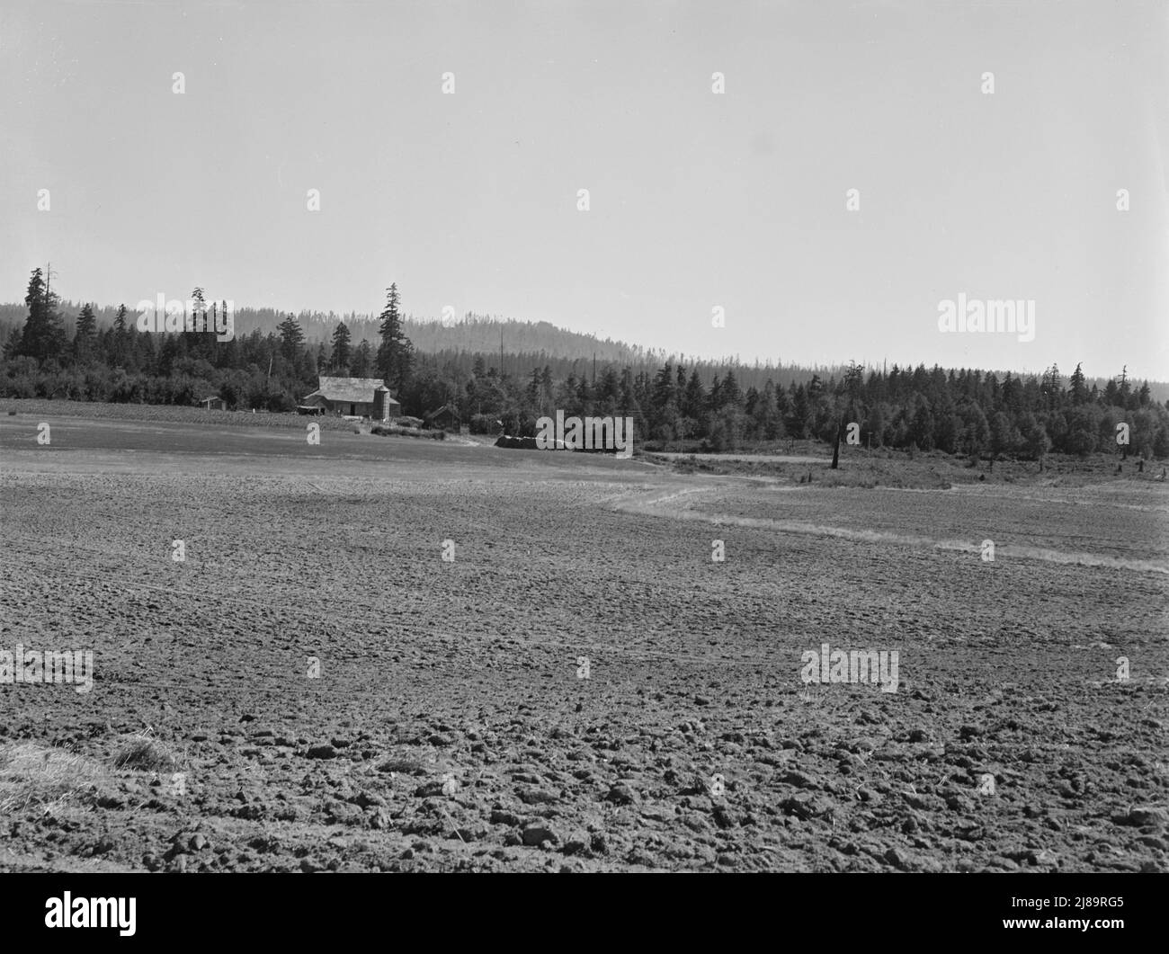 Bulldozer clearing land Black and White Stock Photos & Images Alamy