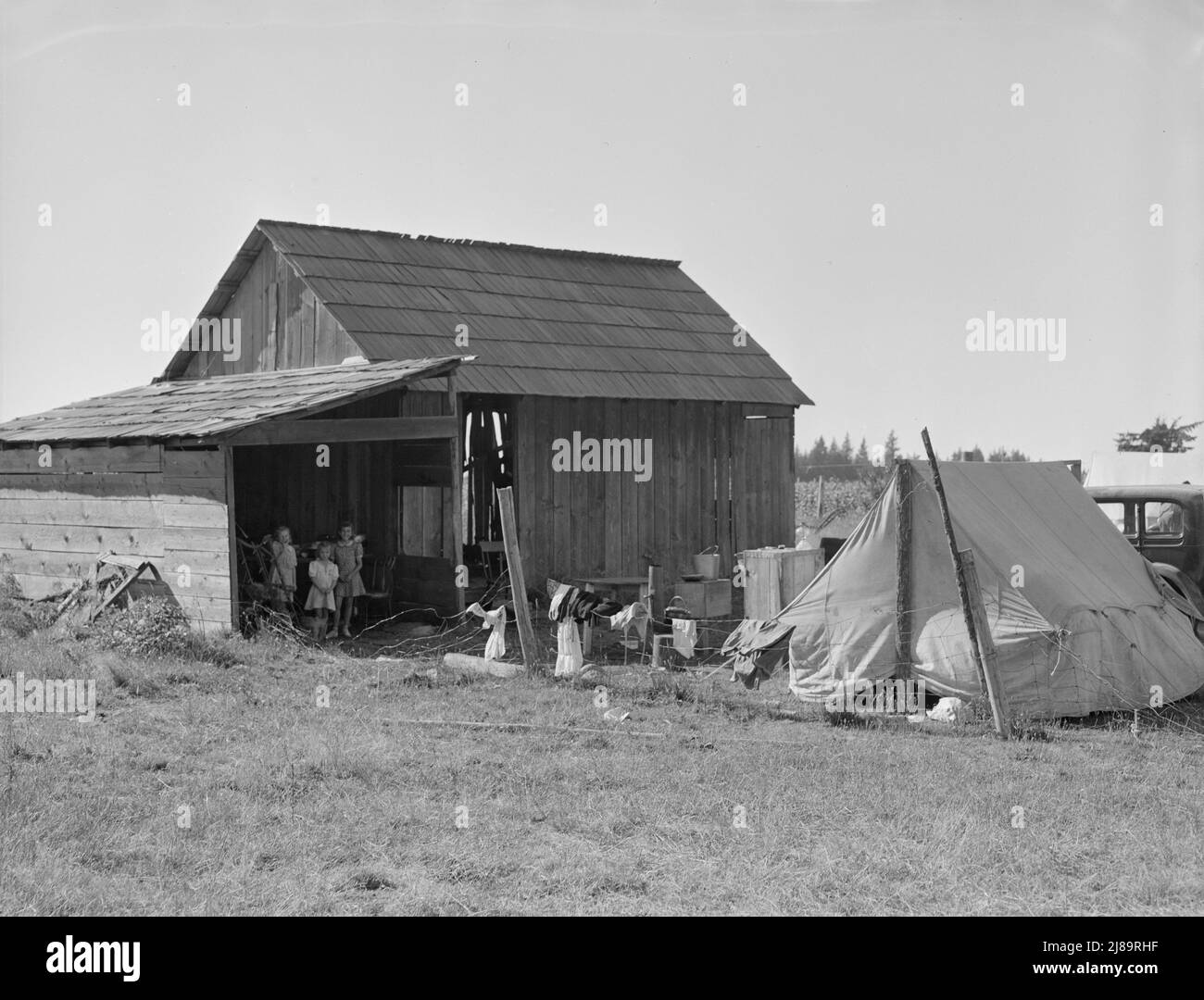 Bean pickers camp in grower's yard. No running water. Oregon, Marion County, near West Stayton, Oregon. Stock Photo