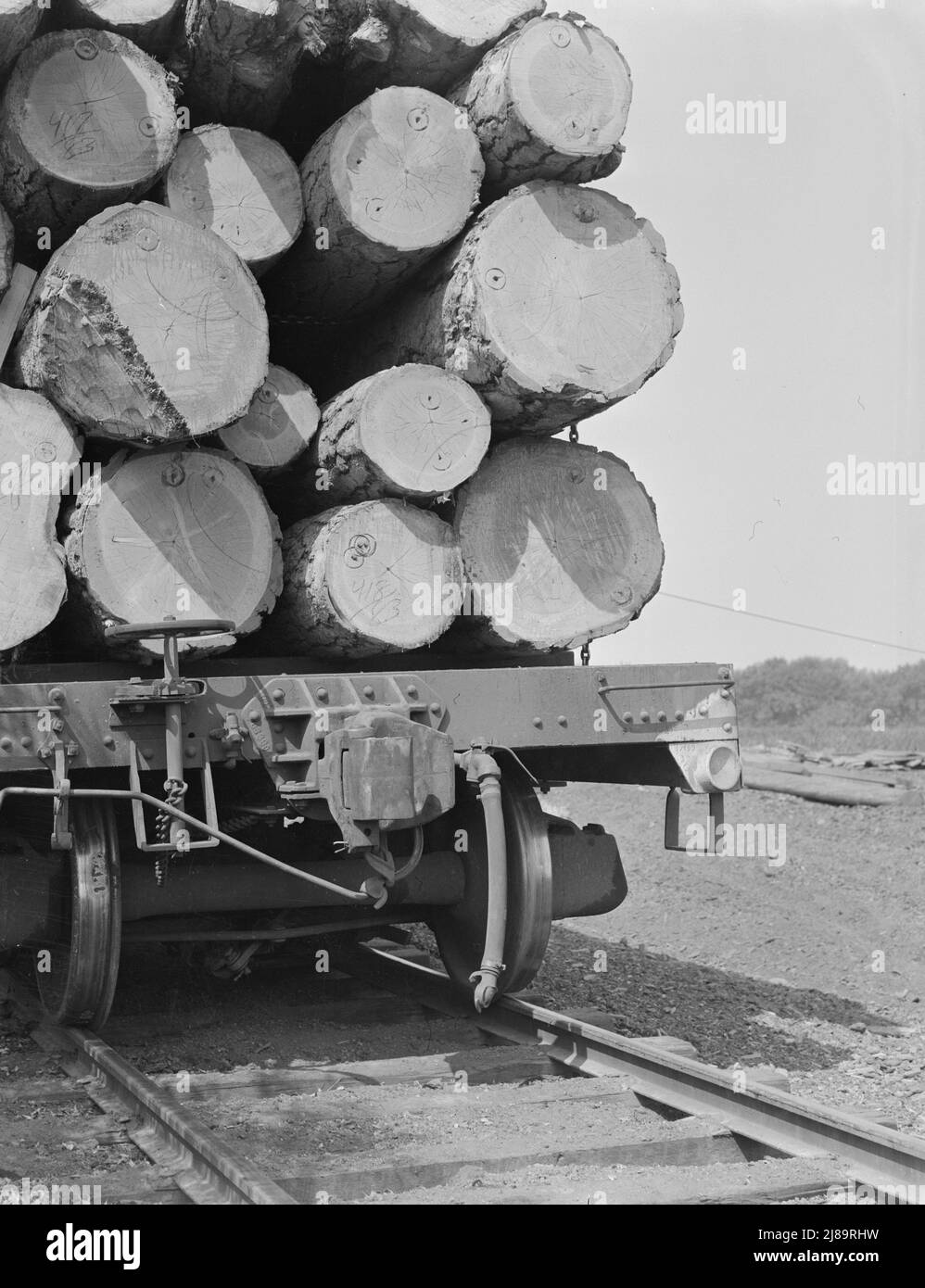 Oregon, Klamath County, near Klamath Falls. Pelican Bay Lumber Company