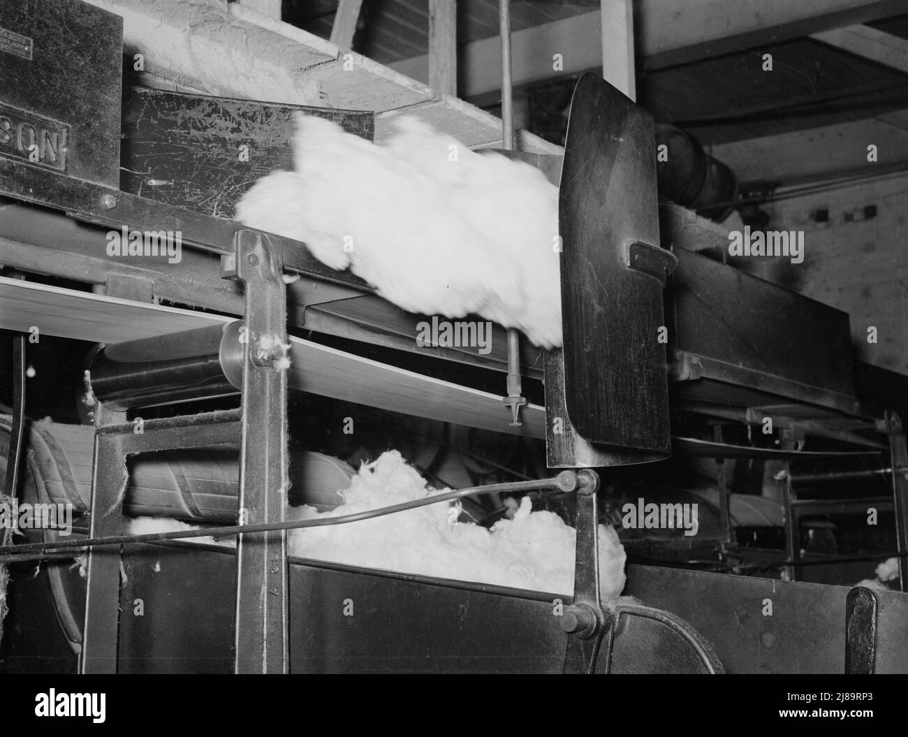 Cotton from the bale is transported by belt to machine for making cotton bats. Weighing device is so sensitive that it directs the cotton from one machine to another. Laurel, Mississippi. Stock Photo