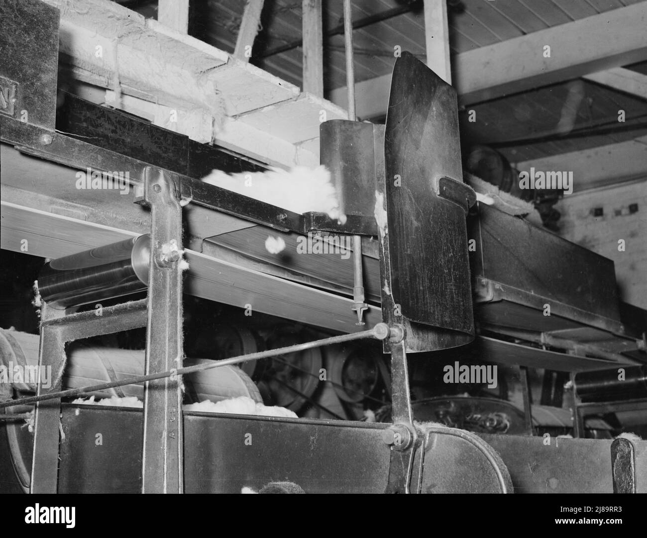 Cotton from the bale is transported by belt to machine for making cotton bats. Weighing device is so sensitive that it directs the cotton from one machine to another. Laurel, Mississippi. Stock Photo