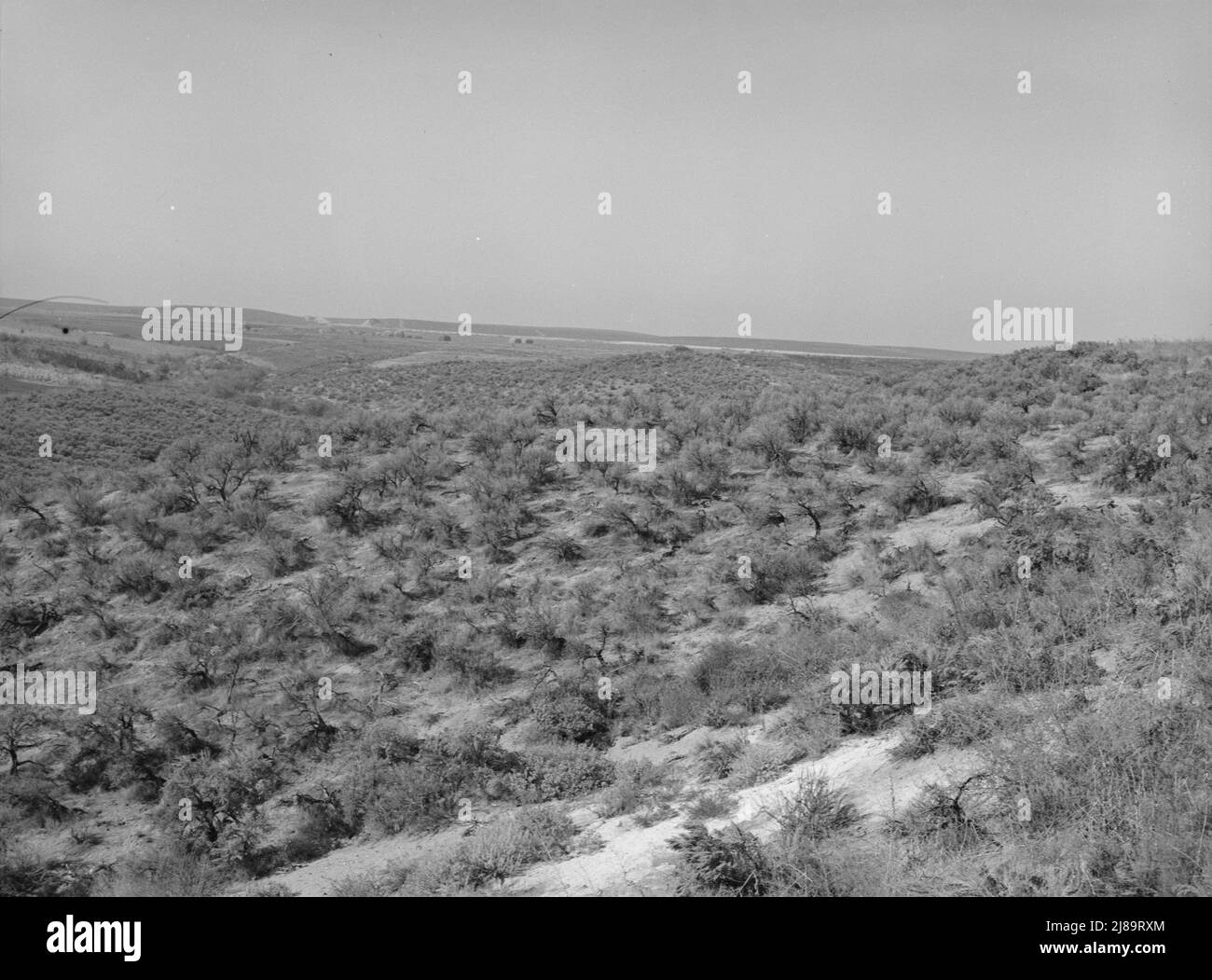 Landscape showing raw land. Nyssa Heights, Malheur County, Oregon. Stock Photo