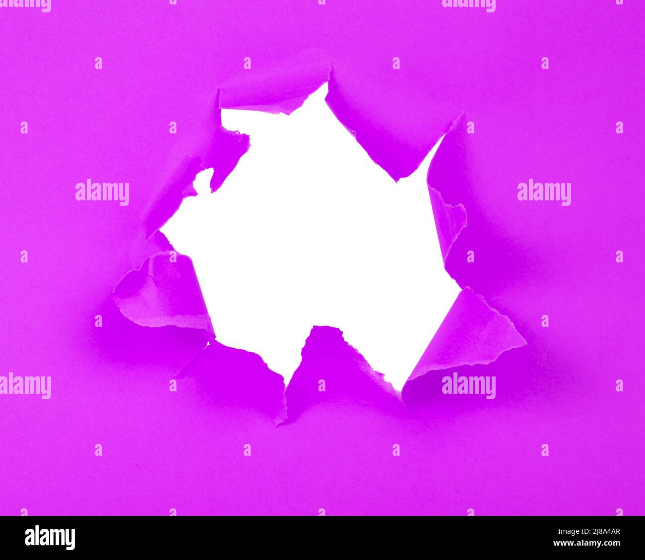 Violet Ripped Paper Violet crushed torn paper with hole copyspace background for idea Stock ...
