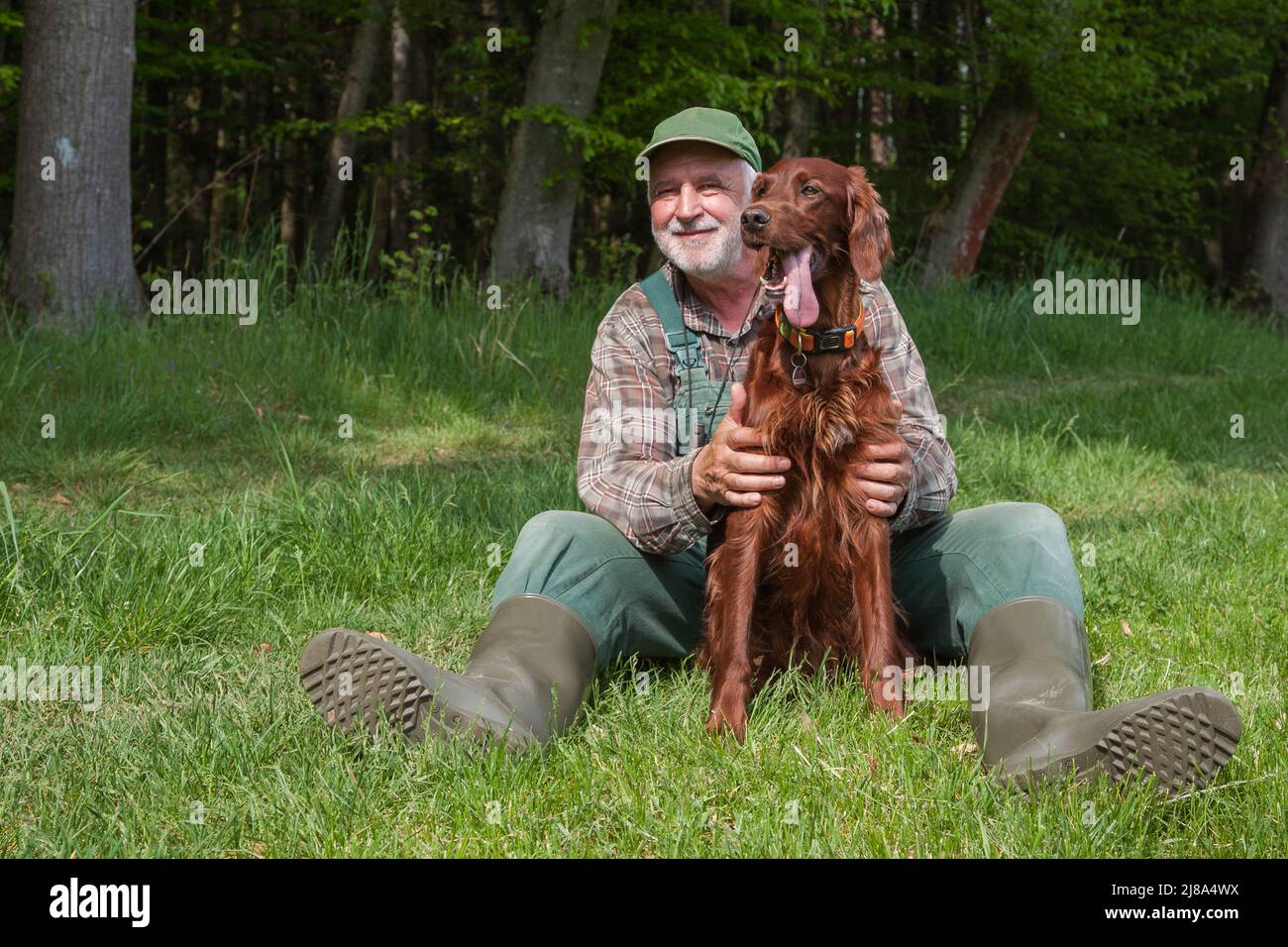 An old hunter in dungarees and green rubber boots is sitting in the sun at the edge of the forest and lovingly holds his Irish Setter Hound . Stock Photo