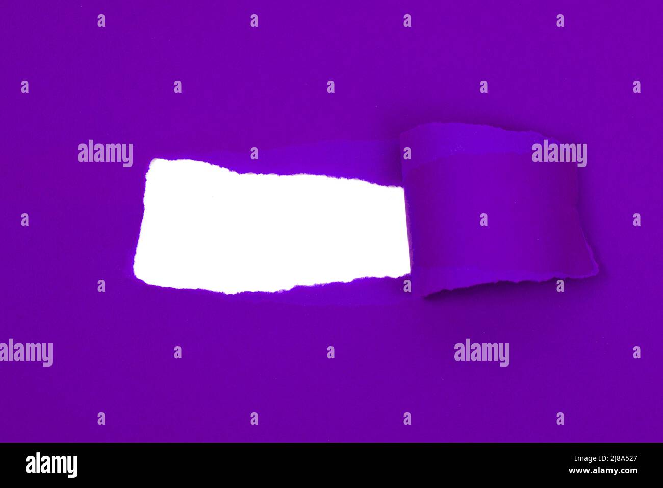 Violet Ripped Paper Violet crushed torn paper with hole copyspace background for idea Stock ...