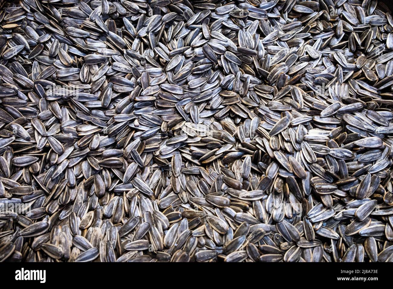 Pile sunflower seeds hi-res stock photography and images - Alamy