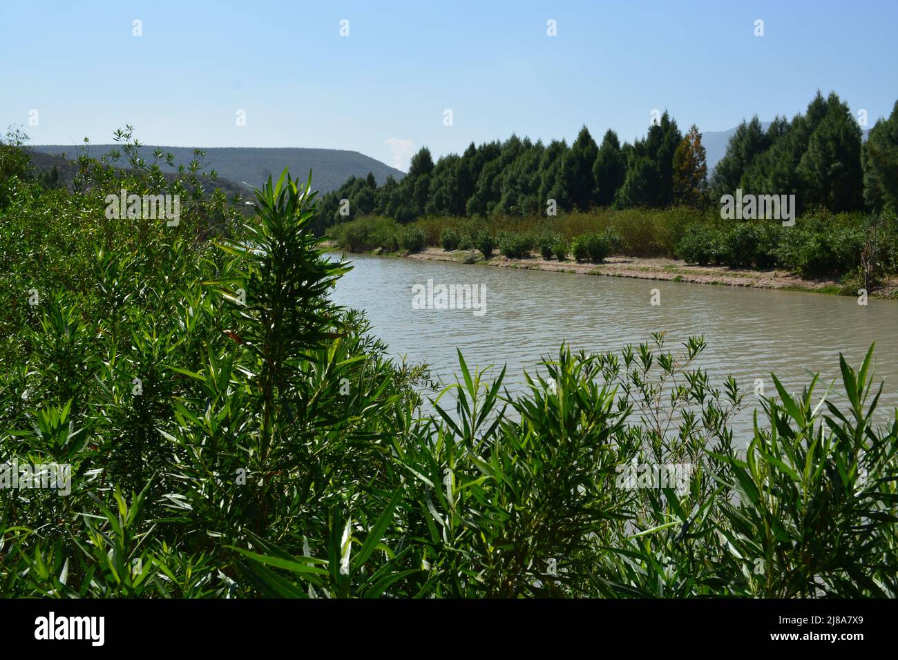Salinas River or Arroyo de Patos in Icamole Nuevo Leon. Stock Photo