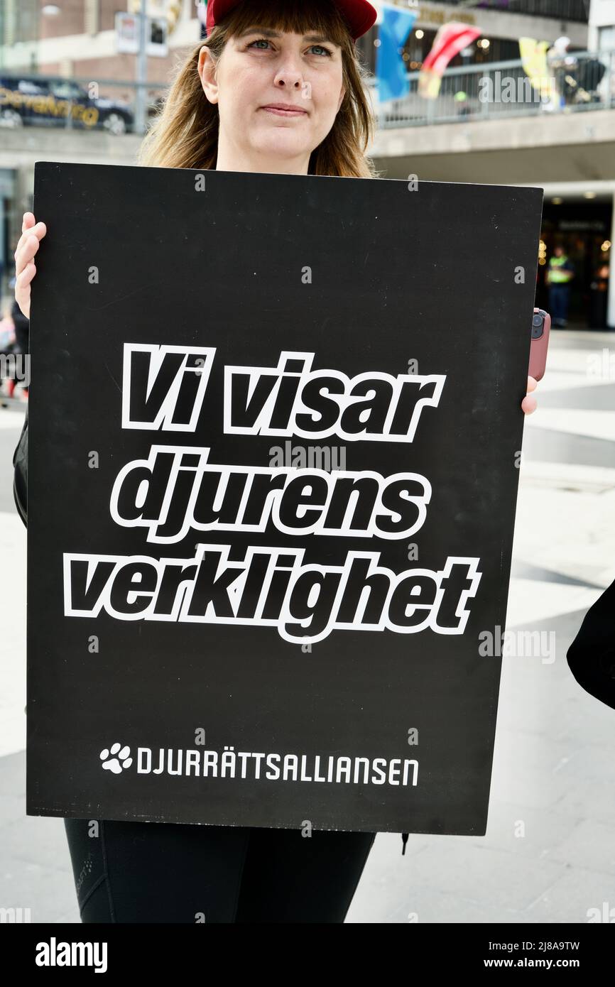 STOCKHOLM, SWEDEN - MAY 14, 2022: Djurens Rätt / Animals Right ...