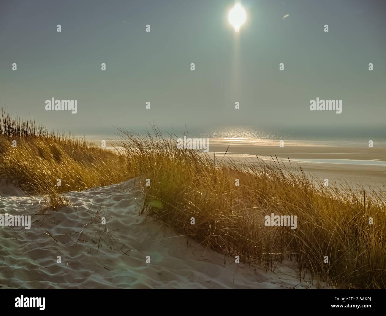 View into sun across grass covered dunes and beach Stock Photo