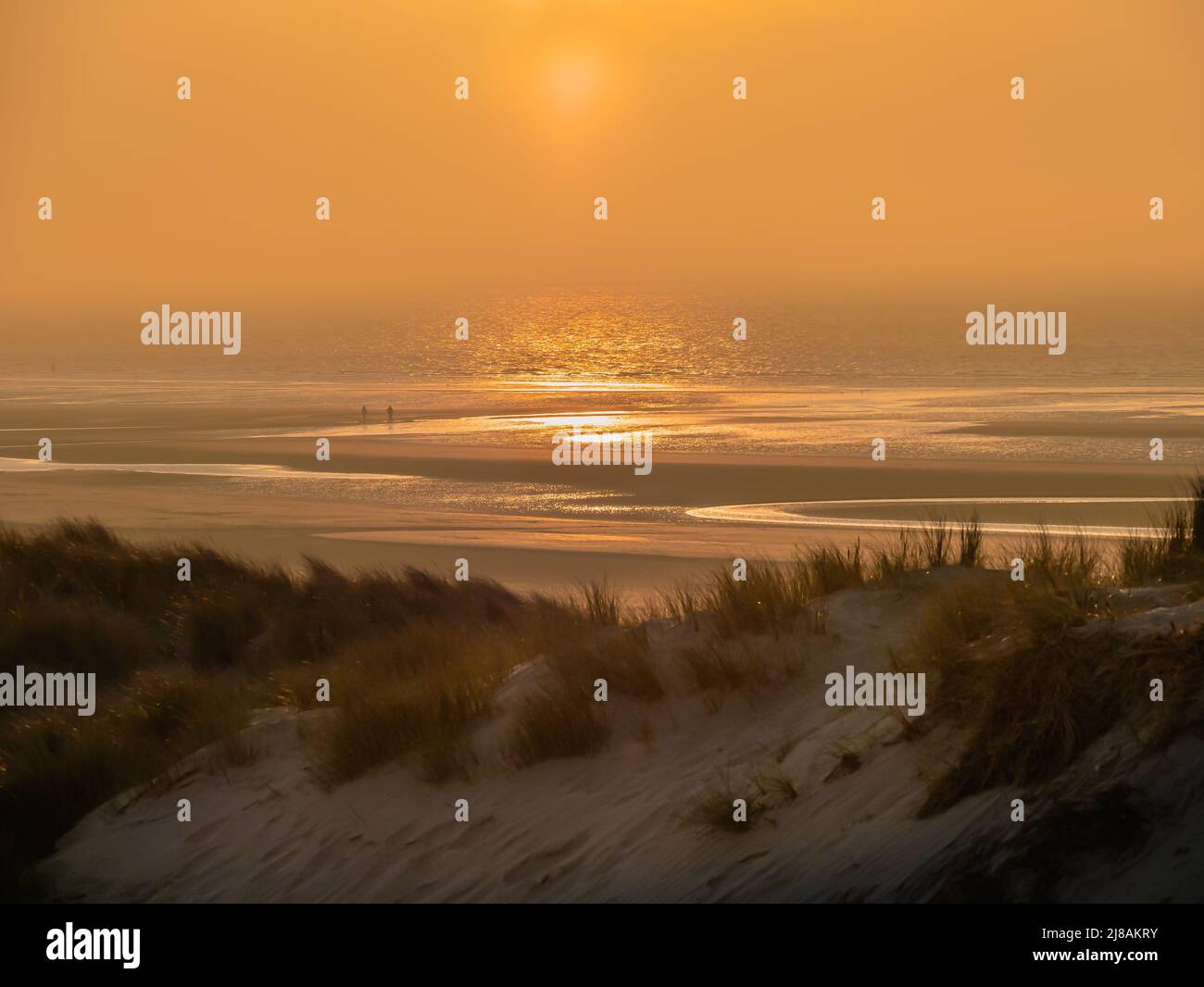 Golden sunset on beach with dunes Stock Photo