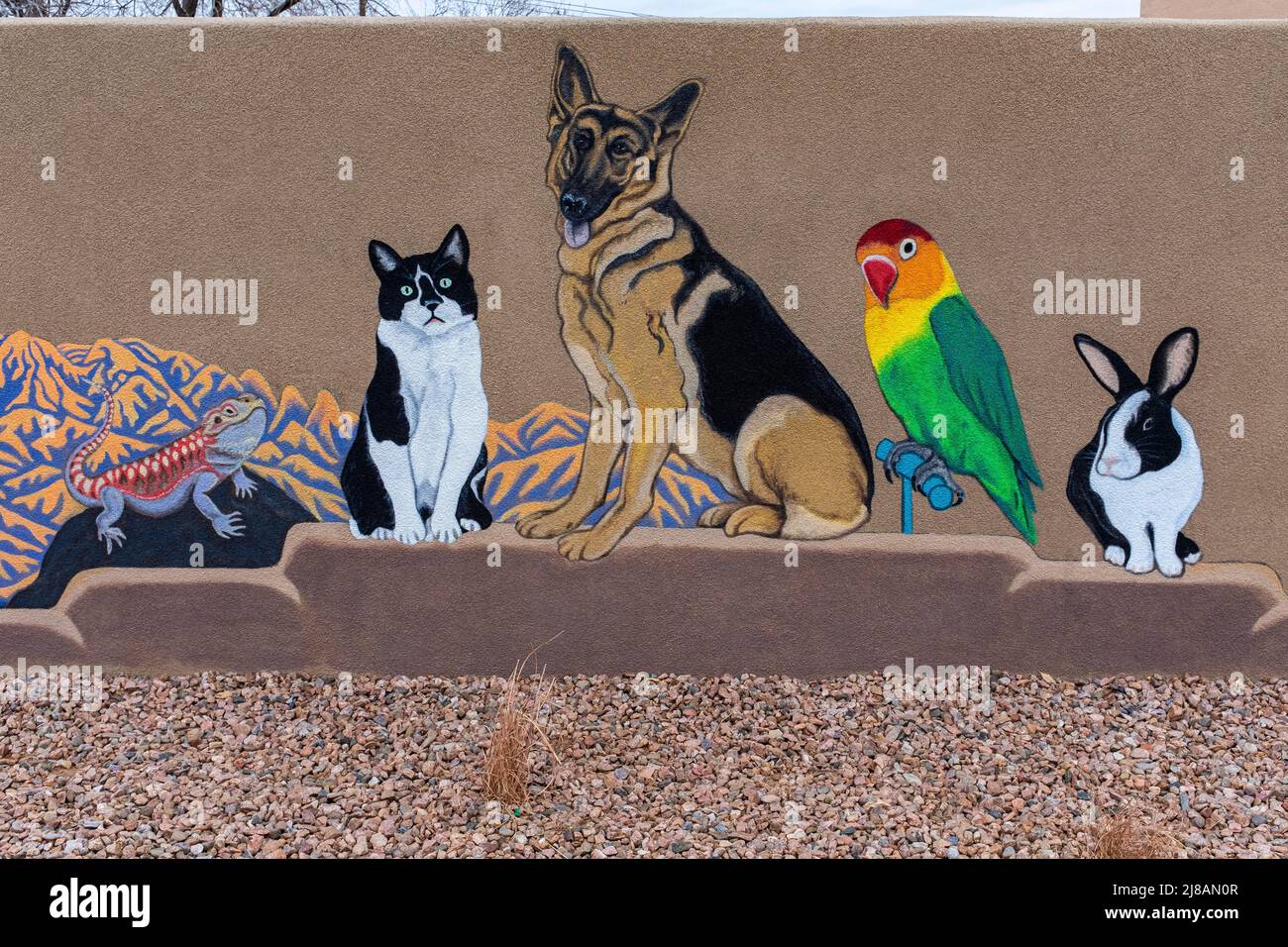 Albuquerque, New Mexico street art Stock Photo - Alamy