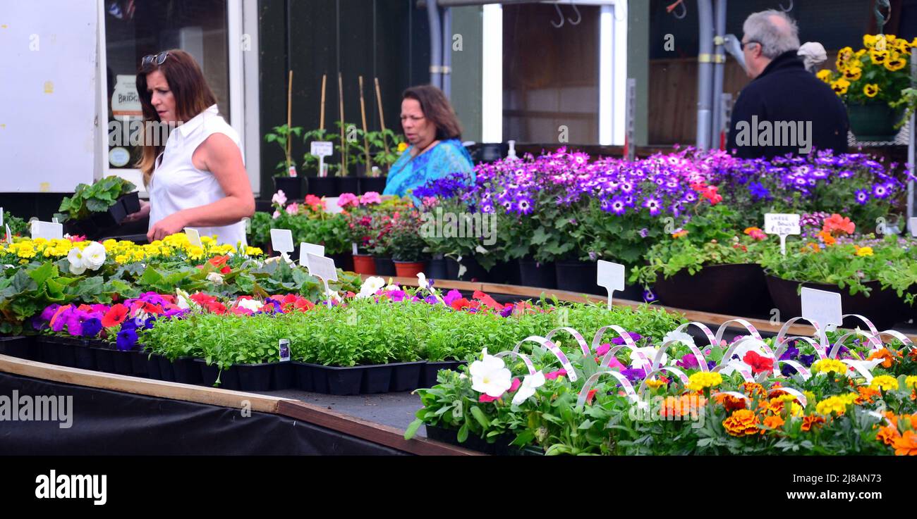 People look at flowers for sale at Wythenshawe Community Farm, an educational farm based in Wythenshawe Park, South Manchester, England, United Kingdom, British Isles. It gives children a chance to learn about where food comes from, and has all the elements of a working farm in an urban setting. Stock Photo