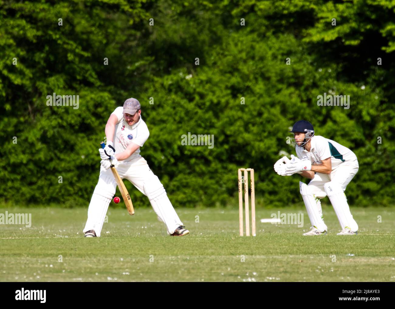 Village cricket in Hampshire, England Stock Photo