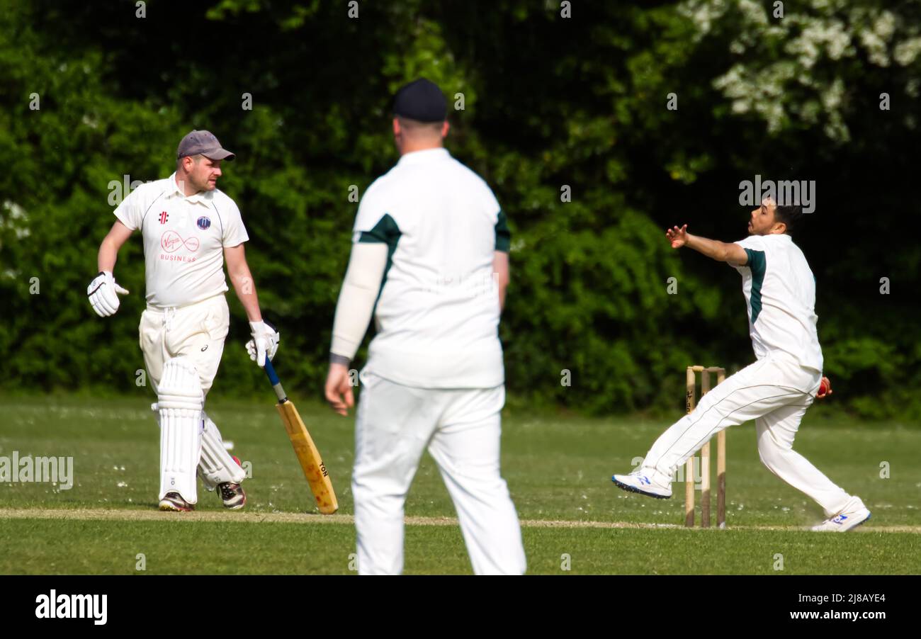 Village cricket in Hampshire, England Stock Photo