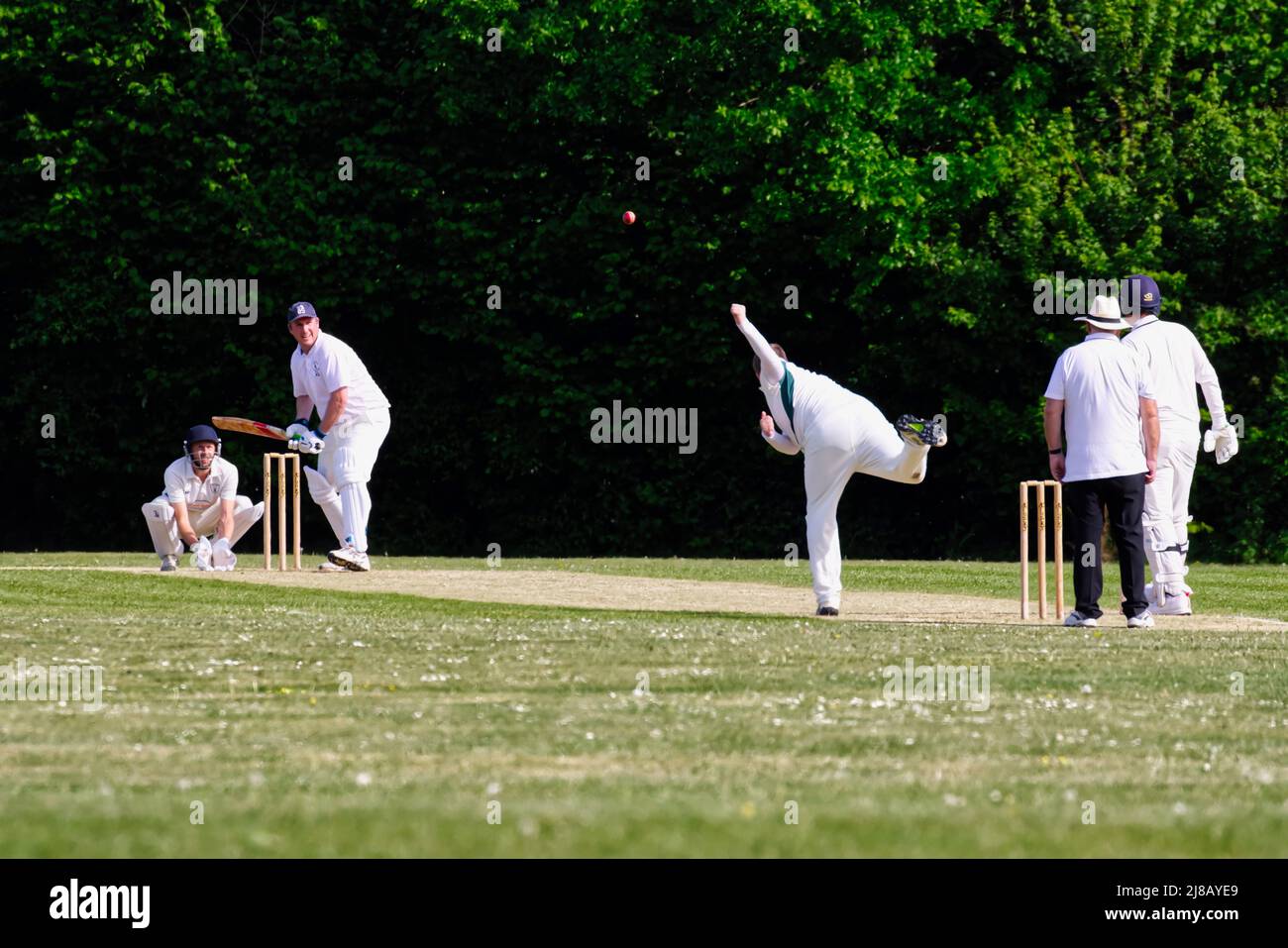 Village cricket in Hampshire, England Stock Photo