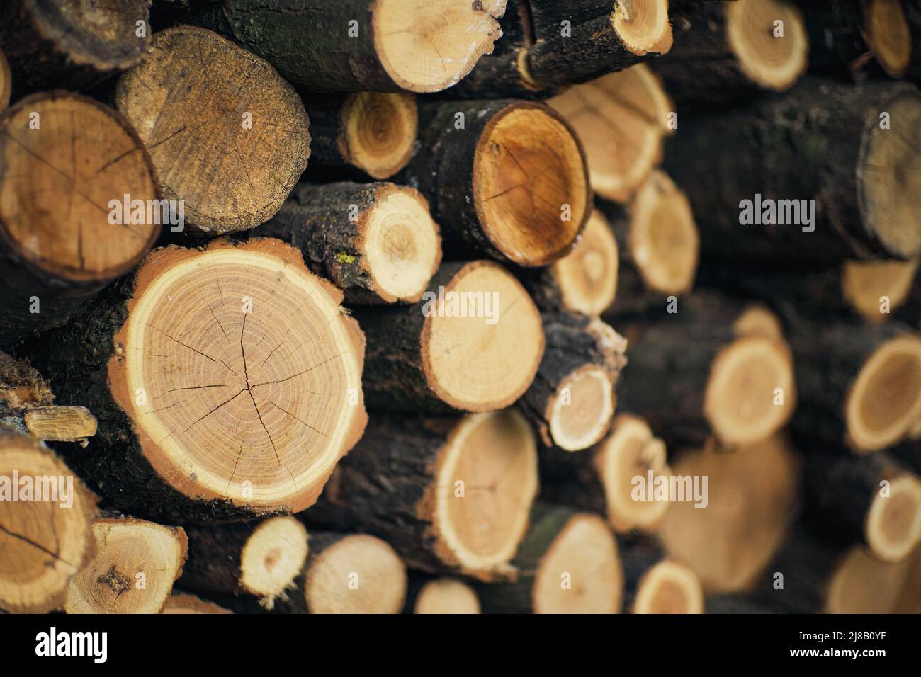 Firewood stacked outside, heating fuel concept Stock Photo