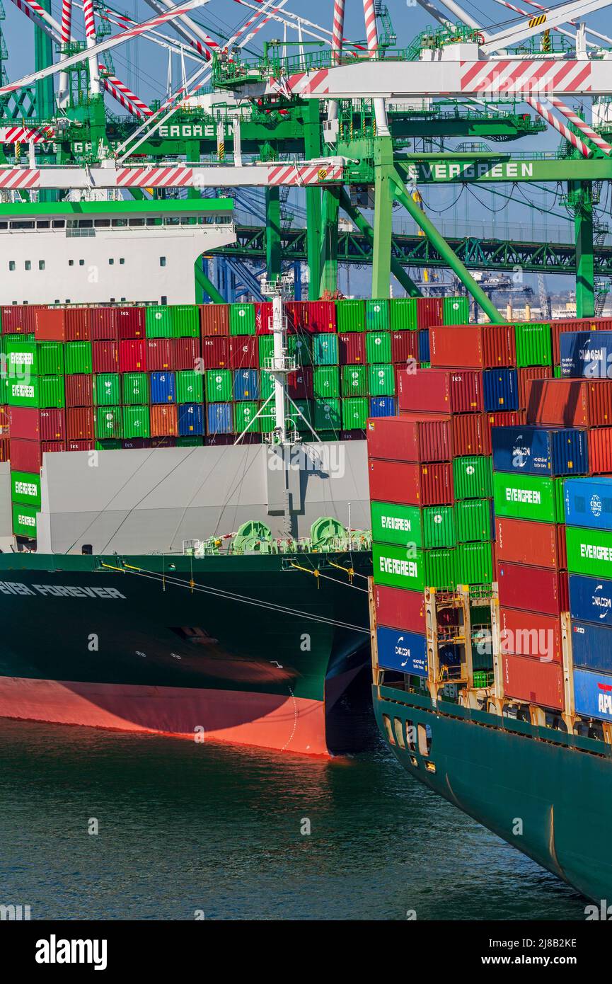 Evergreen container ships, Port of Los Angeles, San Pedro, California ...