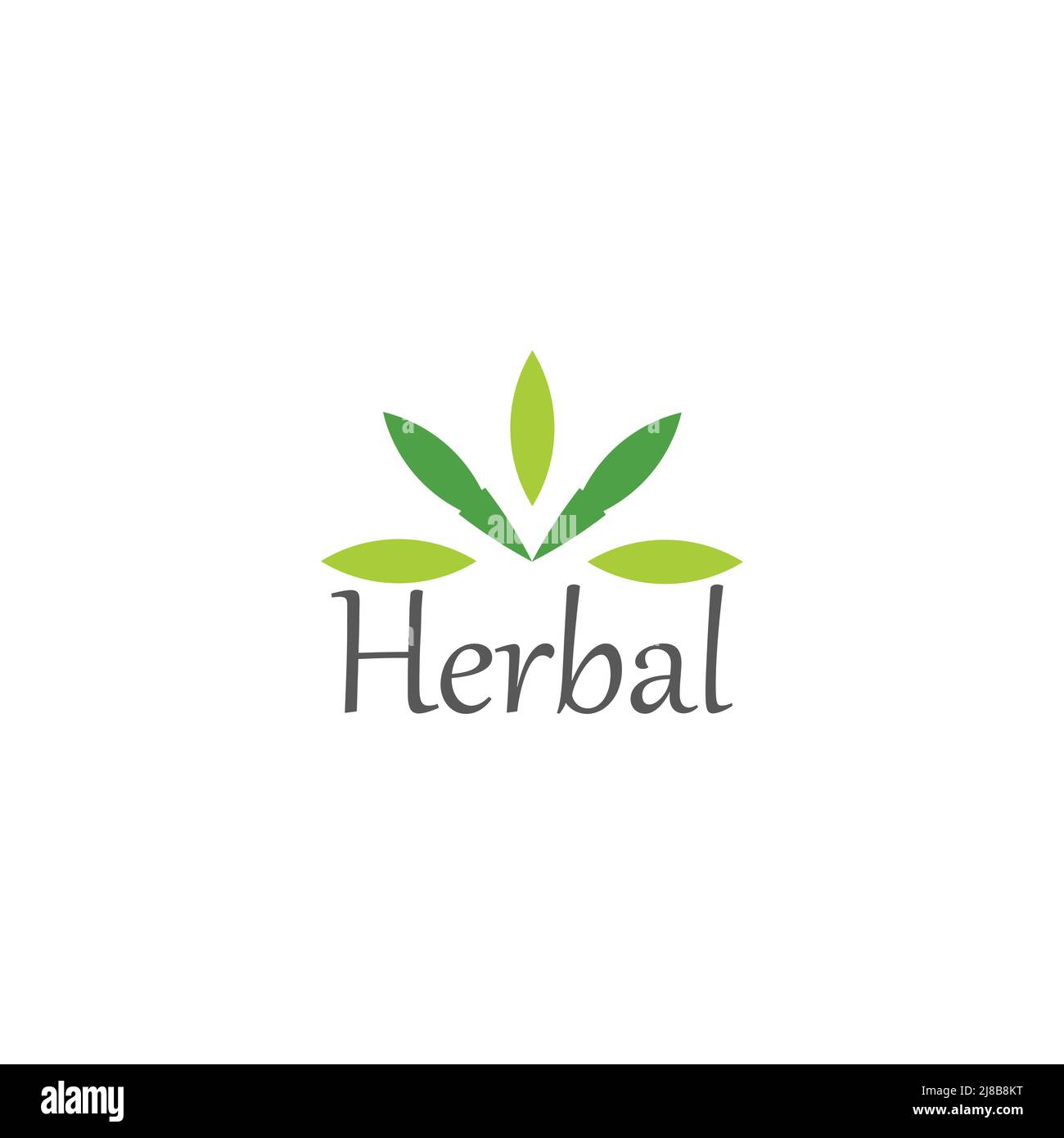 text herbal leaf green simple geometric logo vector Stock Vector