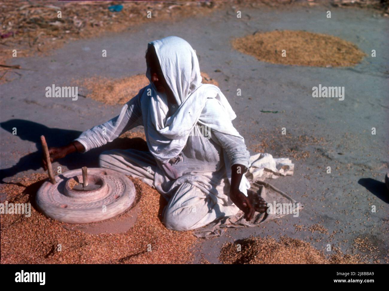 Rural woman de-husking rice, Punjab, India Stock Photo - Alamy