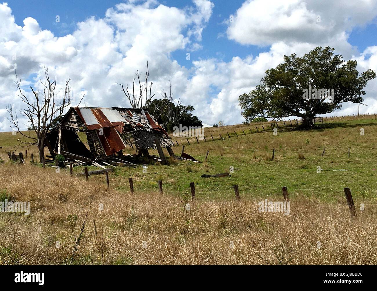 Rural scene with shed, Grafton area NSW, Australia Stock Photo