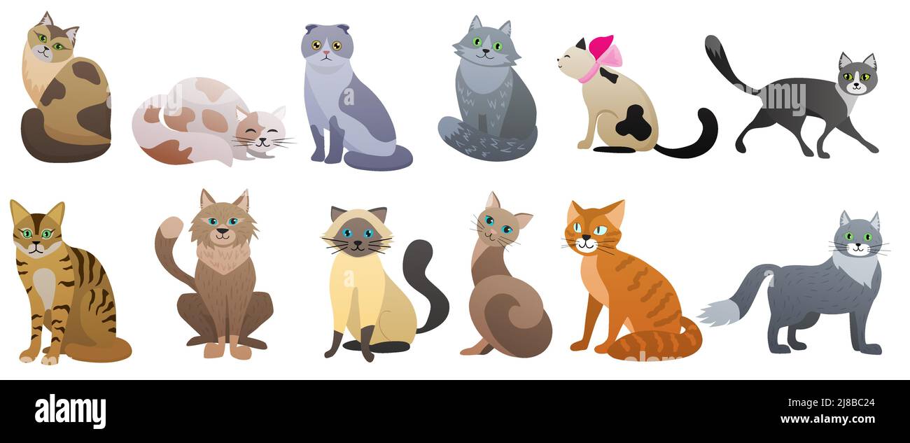Cute cats of different breeds set vector illustration. Cartoon funny red, grey or brown pet sitting, lazy fluffy kitty lying, kittens poses collection isolated white. Friendly animal, meow concept Stock Vector