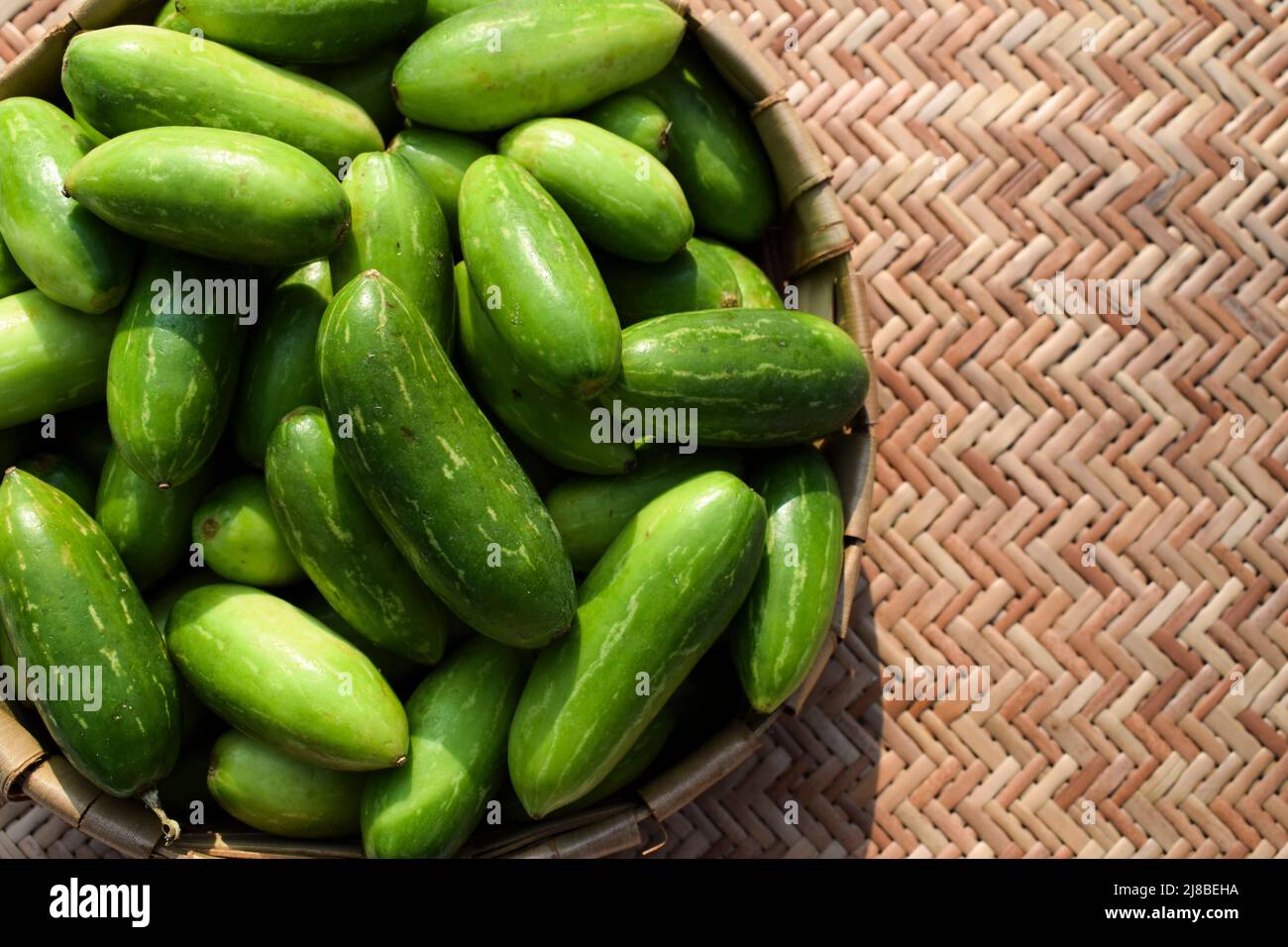 Ivy gourd or scarlet gourds known as Tindora or Ghola, green vegetables