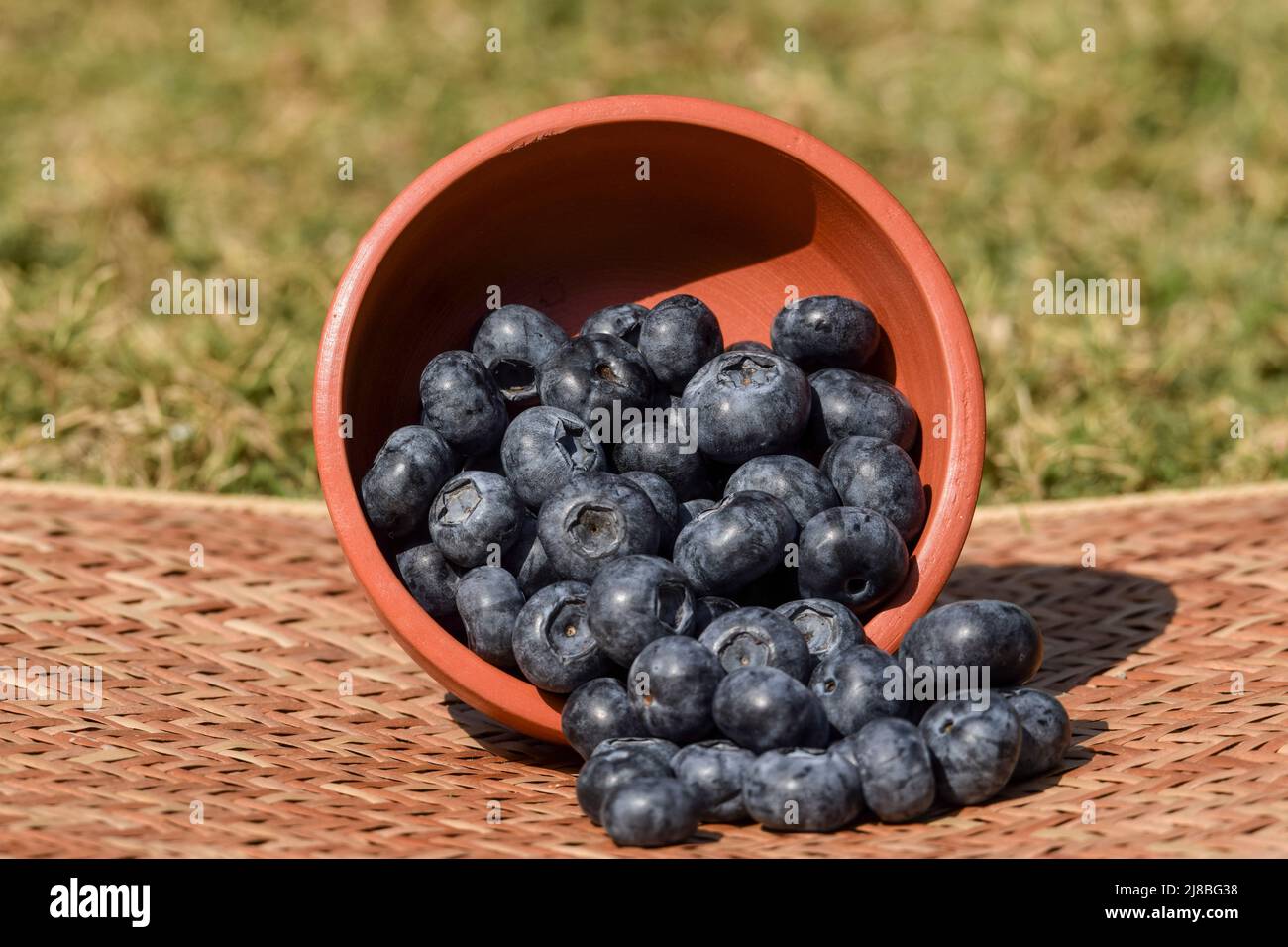 Heap of Blueberry fruits in a earthen bowl with white background. high