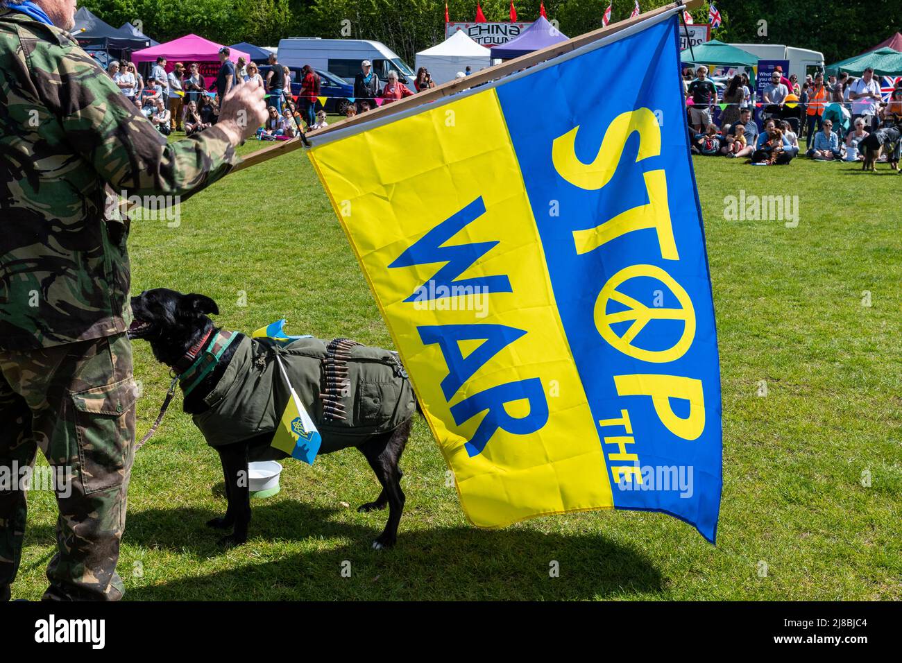 Stop the War Ukraine Flag held by ex-serviceman with dog dressed in flak jacket with bullets, Fancy dress dog show, Frimley, Surrey, UK, May 2022 Stock Photo