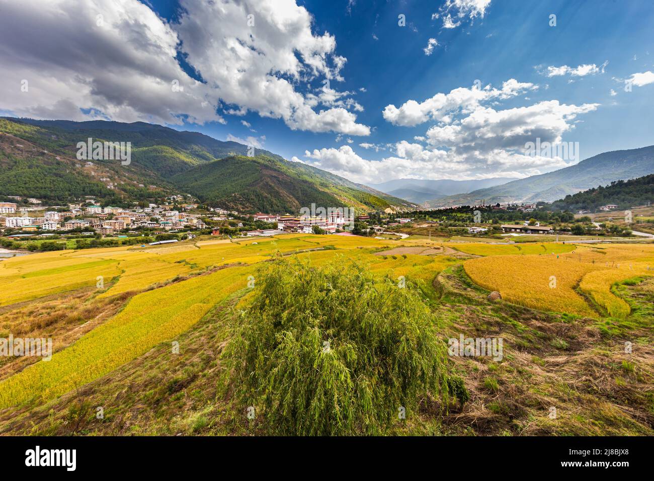 Wide angle panorama over the free wild open landscape of Bhutan. The