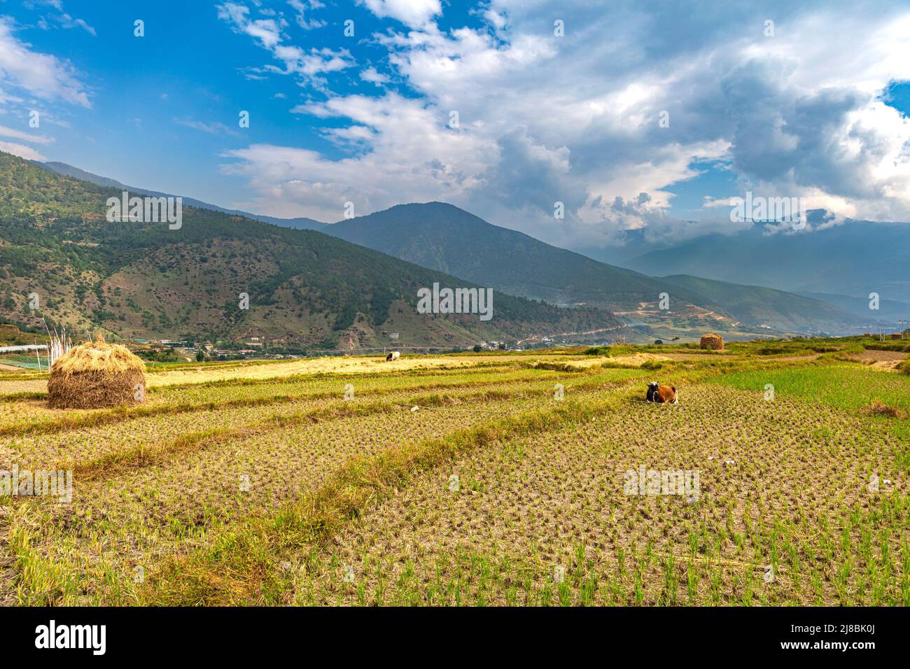 Wide angle panorama over the free wild open landscape of Bhutan. The