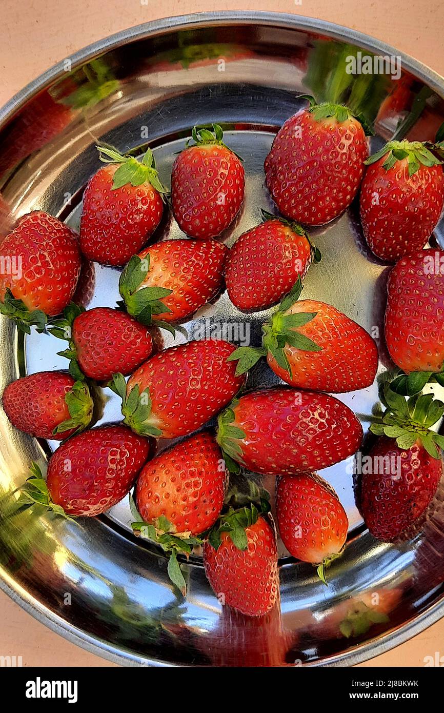 View of stainless steel plate containing fresh, red strawberry fruits Stock Photo