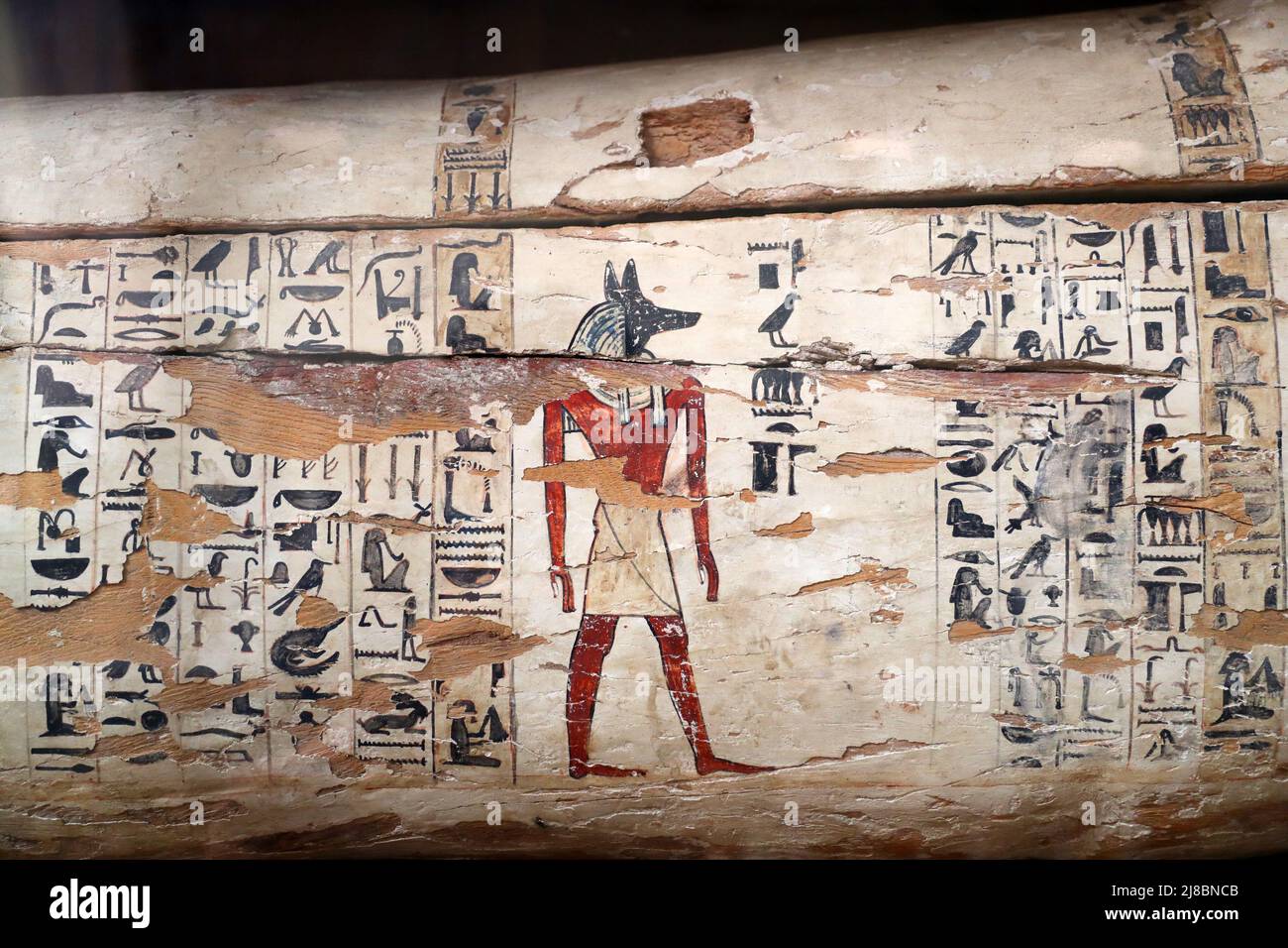 8611 Bastet 515 8611 Bastet 515