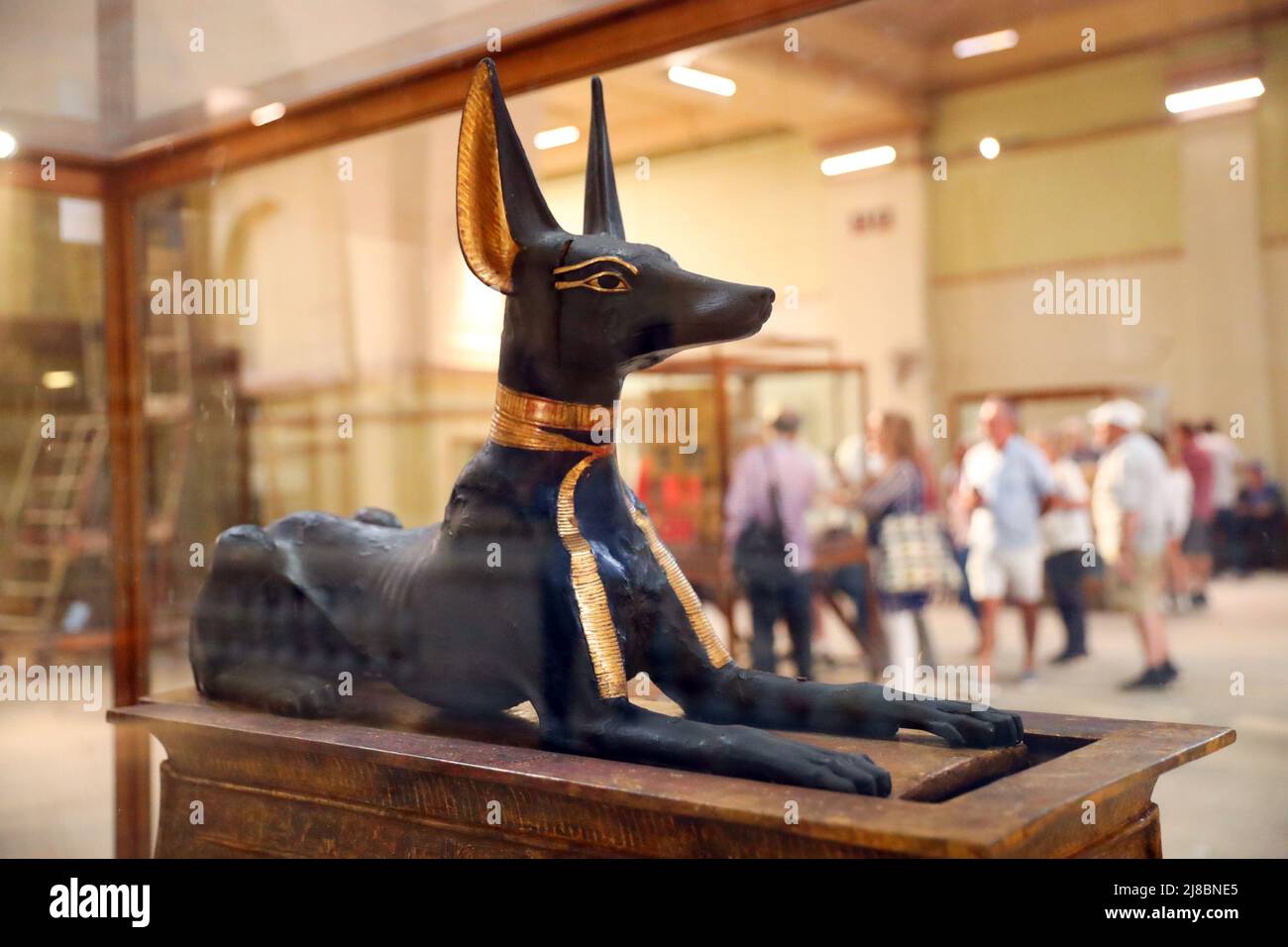 (220515) -- CAIRO, May 15, 2022 (Xinhua) -- Photo taken on May 14, 2022 shows the statue of god Anubis discovered at the tomb of king Tutankhamun, at the Egyptian Museum in Cairo, Egypt. As a funerary deity, Anubis is associated with mummification, funerary rituals, and the cemetery in ancient Egyptian myth, usually depicted as a black canine, or a man with canine head. It can be found at large numbers of pharaonic antiquities at the world-known Egyptian Museum. (Xinhua/Sui Xiankai) Stock Photo