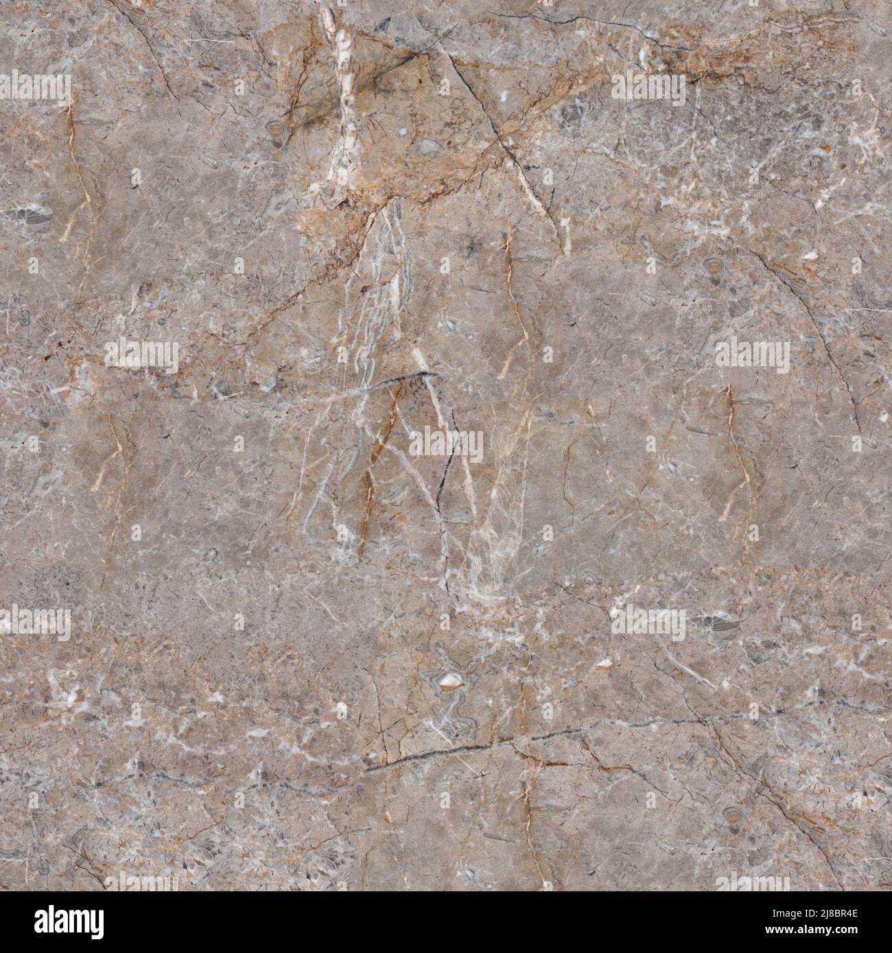 Marble texture with light grey tone. Seamless square background, tile ready. Stock Photo