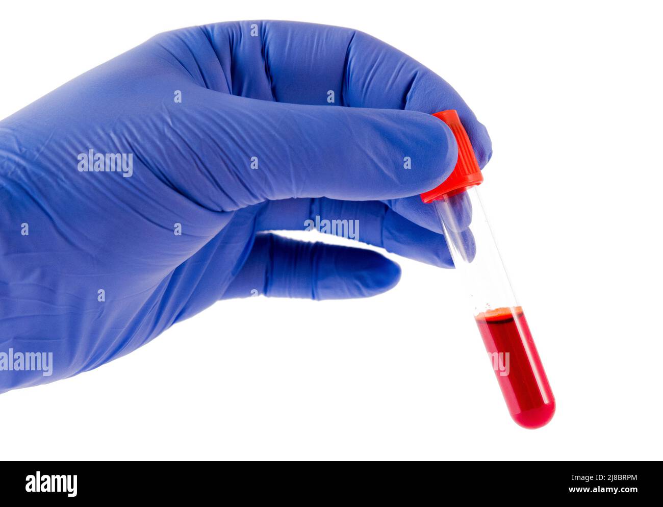 Test tube (Vacutainer) with blood in the hand in glove. Virus analysis. Stock Photo