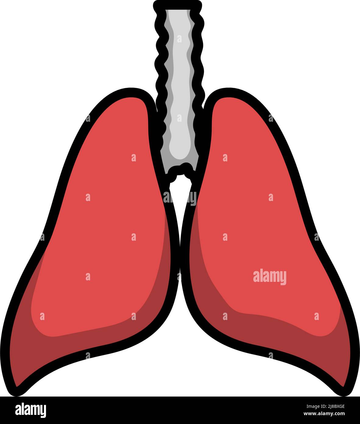 Human Lungs Icon. Editable Bold Outline With Color Fill Design. Vector ...