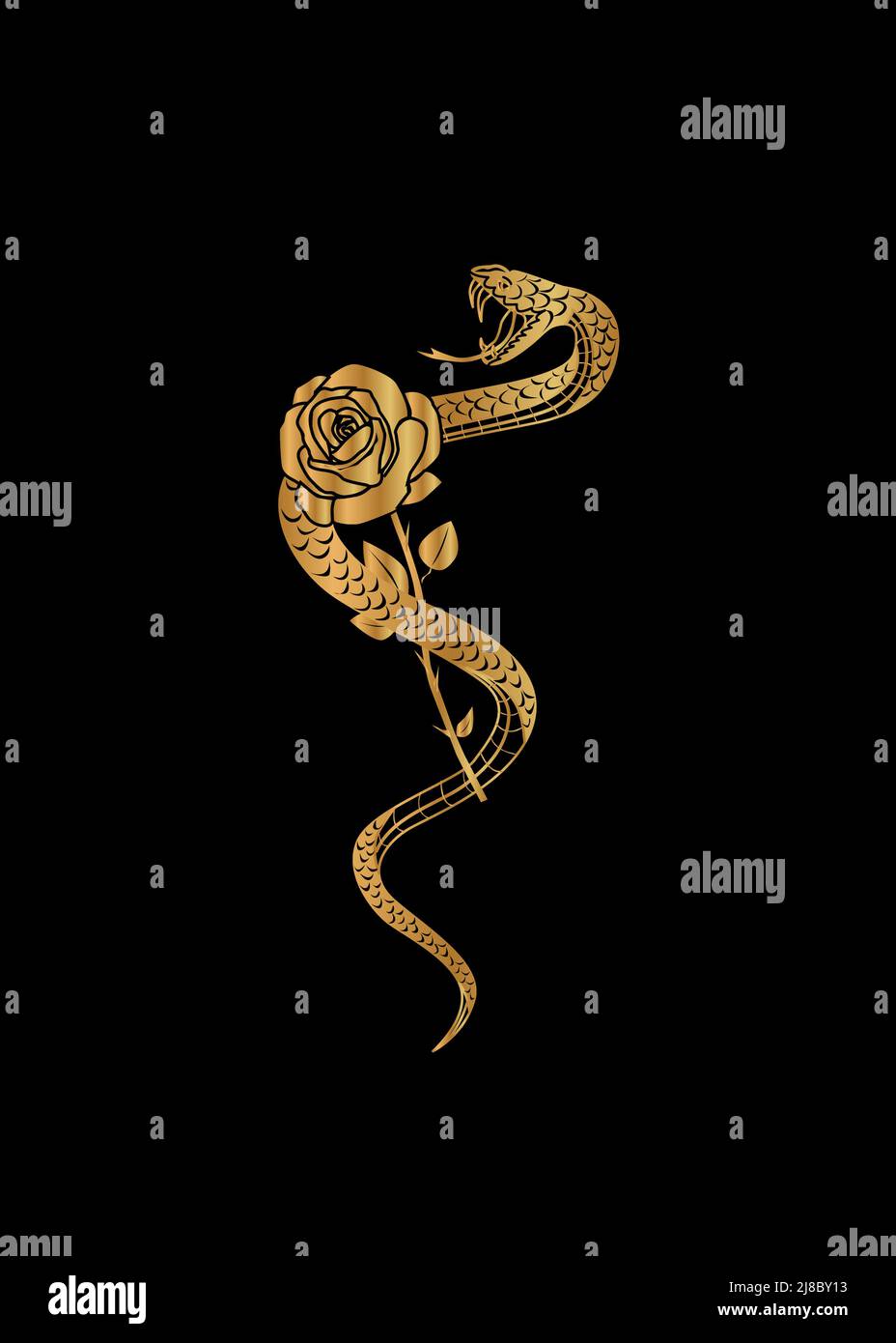 Beautiful illustration on the theme of animals with a beautiful snake and rose. Stock Vector