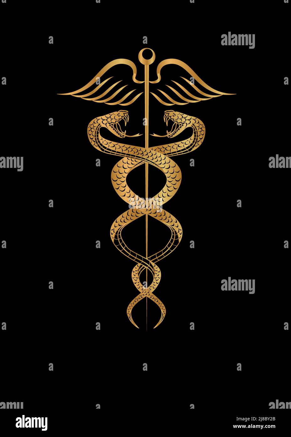 Beautiful illustration on the theme of medicine with two snakes. Stock Vector