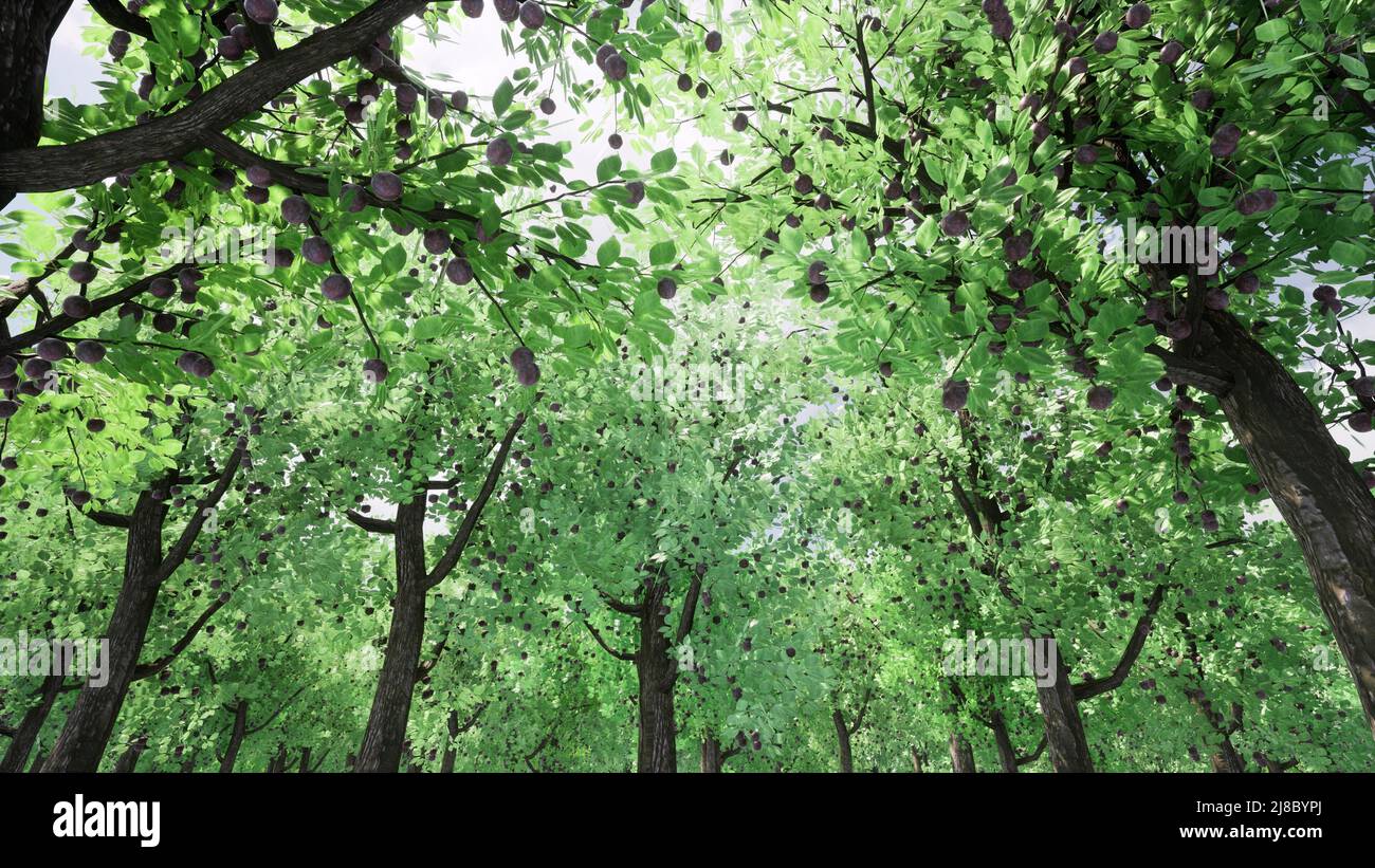 Green change seasons summer to autumn Climate change nature forest