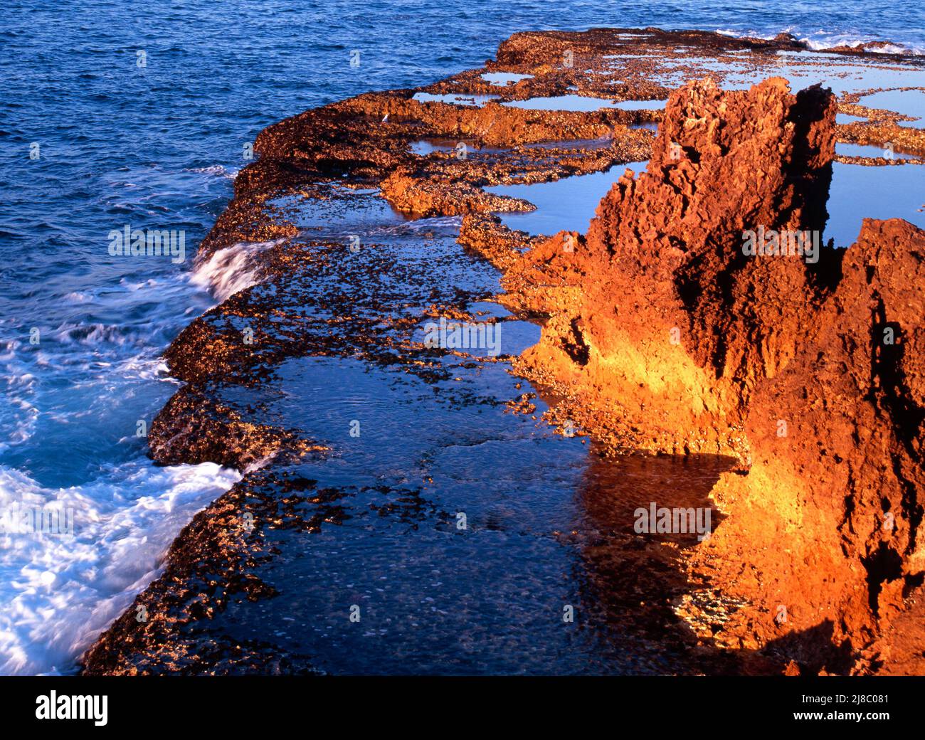 Rocky Coastal Reef,  Indian Ocean, Northwest Australia Stock Photo